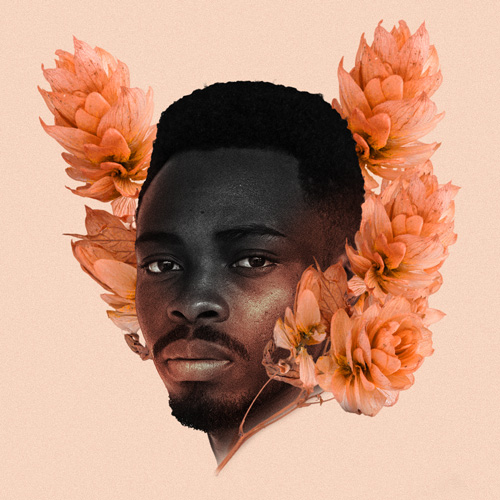 f:id:pbhfq:20220212182618j:plain