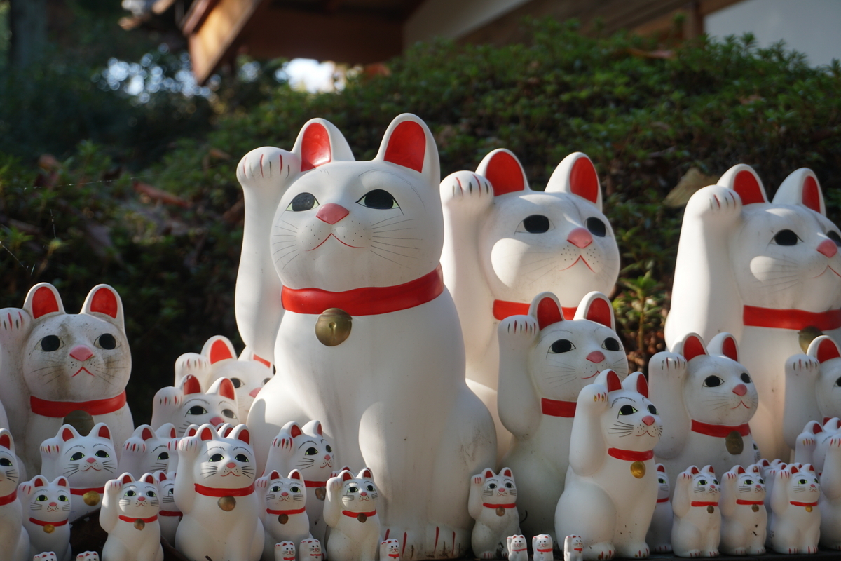豪徳寺の招き猫