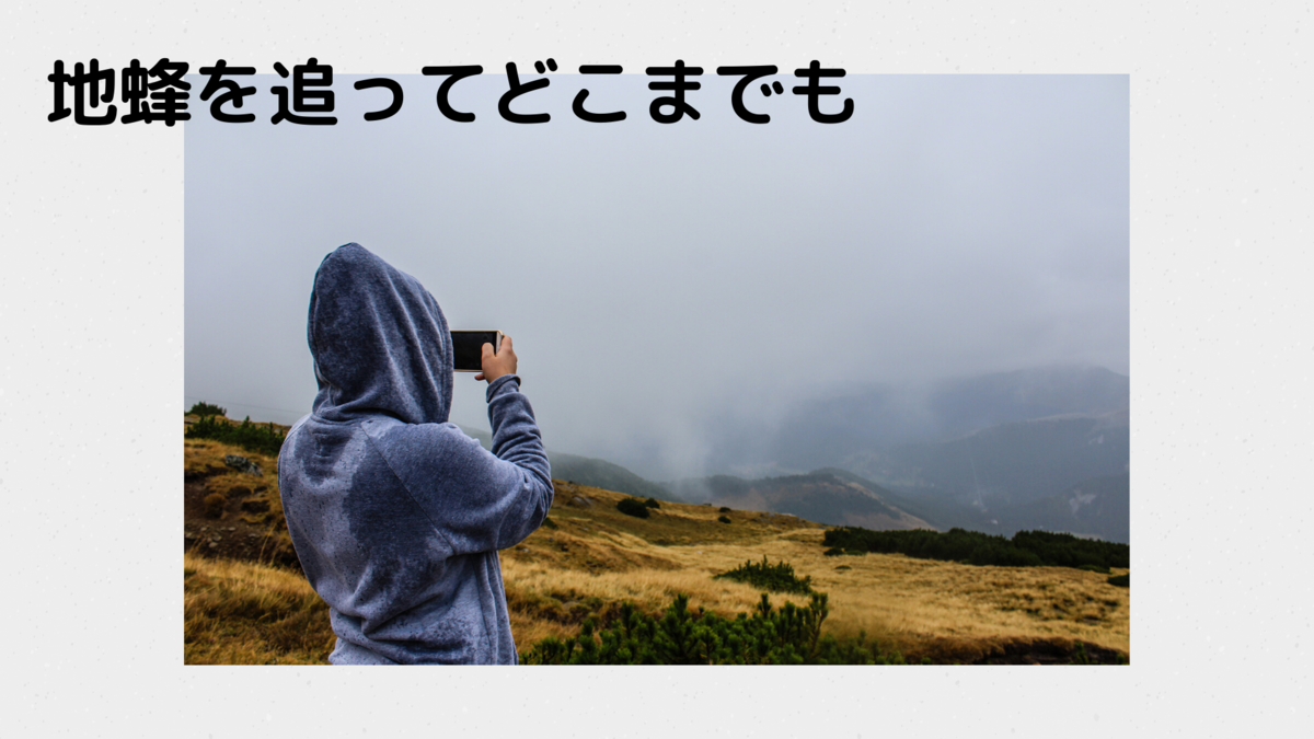 地蜂を追いかける少女