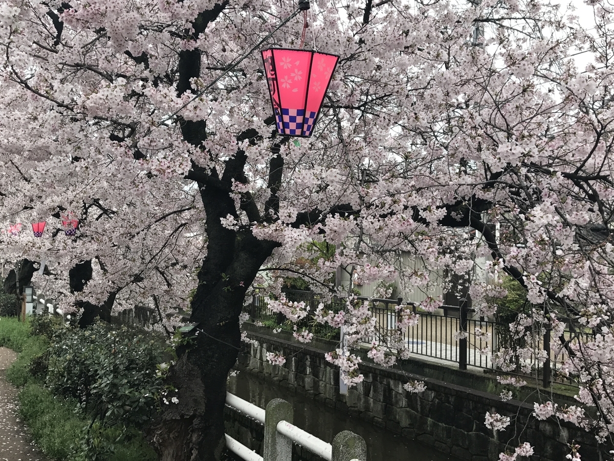 f:id:pc-luck2008:20190904232222j:plain