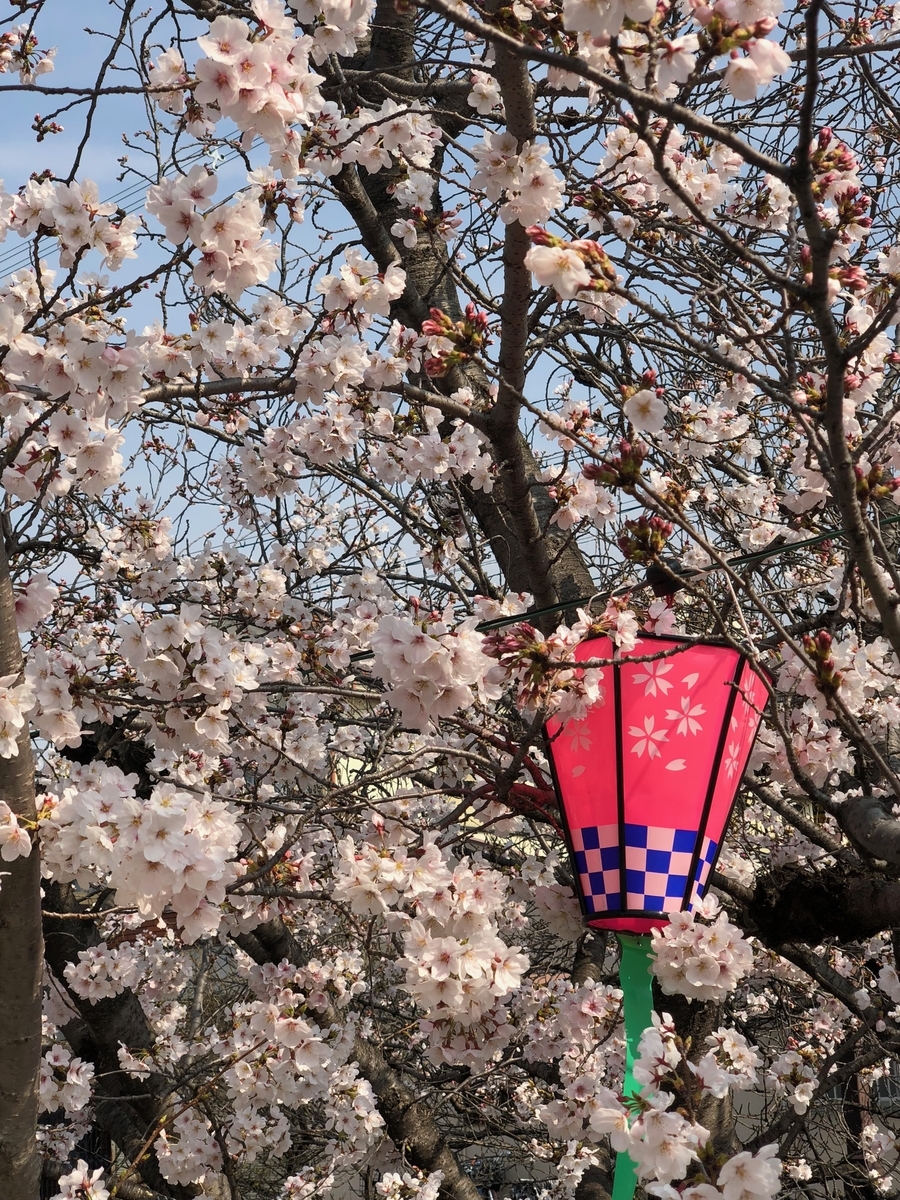 f:id:pc-luck2008:20190904233209j:plain