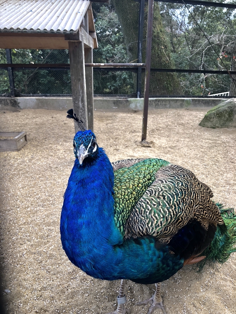 f:id:pc-price:20190112153621j:plain f:id:pc-price:20190112153621j:plain