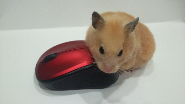 f:id:pcfactory:20200619194724j:plain f:id:pcfactory:20200619194724j:plain