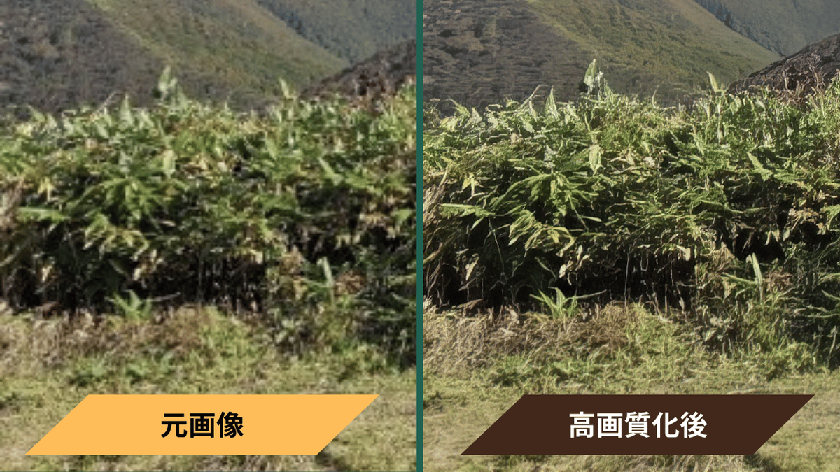比較画像