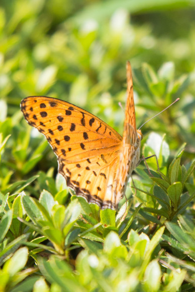 f:id:pcmaster:20141007135109j:image f:id:pcmaster:20141007135109j:image