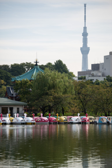 f:id:pcmaster:20141010085633j:image f:id:pcmaster:20141010085633j:image