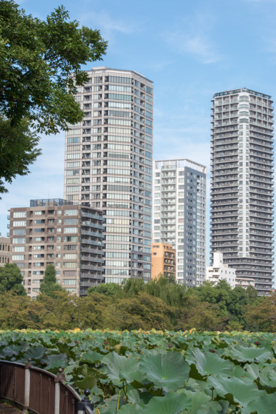 f:id:pcmaster:20141010090735j:image f:id:pcmaster:20141010090735j:image