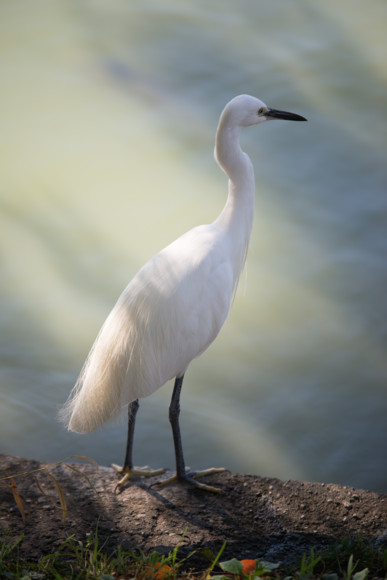 f:id:pcmaster:20141014101522j:image f:id:pcmaster:20141014101522j:image