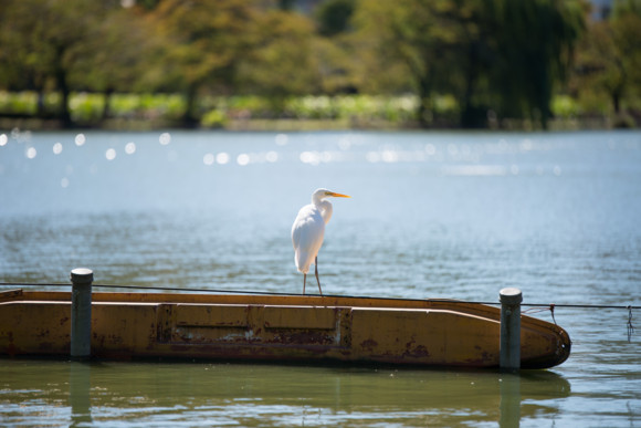 f:id:pcmaster:20141014101806j:image f:id:pcmaster:20141014101806j:image