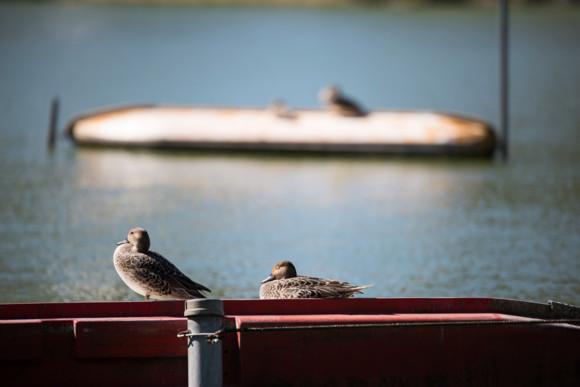 f:id:pcmaster:20141014102057j:image f:id:pcmaster:20141014102057j:image