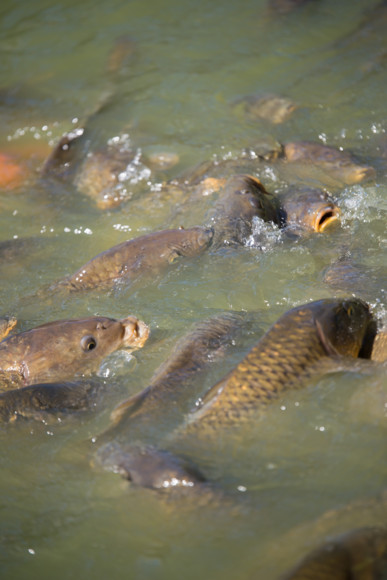 f:id:pcmaster:20141014102225j:image f:id:pcmaster:20141014102225j:image