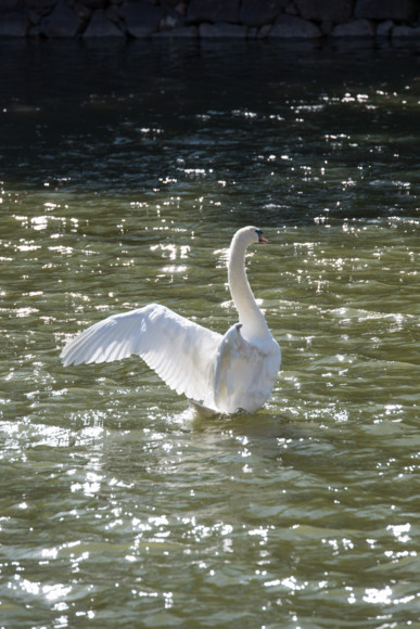 f:id:pcmaster:20141014134322j:image f:id:pcmaster:20141014134322j:image