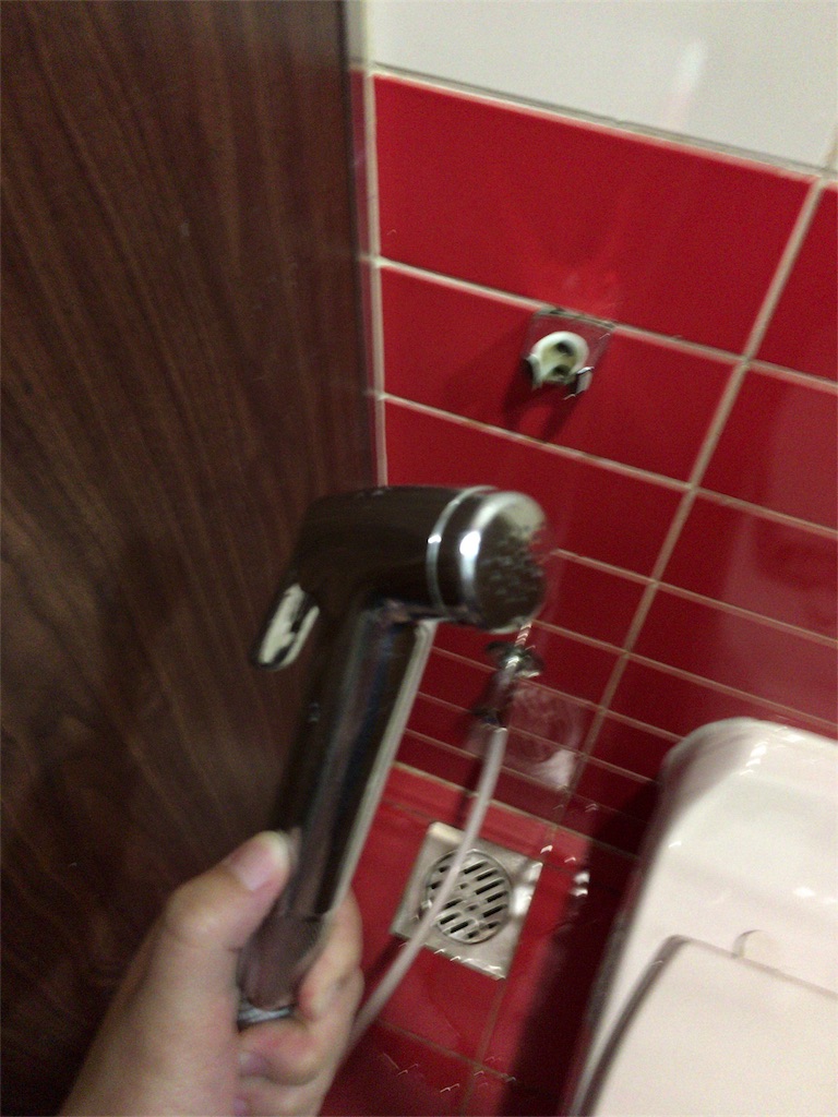 f:id:pcopcopco:20180629210426j:image