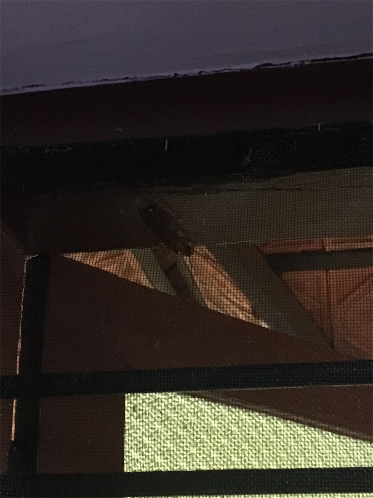 f:id:pcopcopco:20181003190709j:image