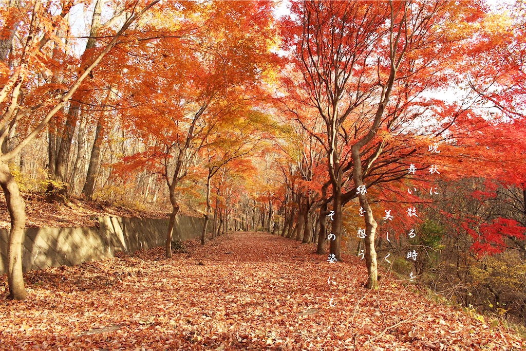 f:id:pcpisjp:20231126235130j:image f:id:pcpisjp:20231126235130j:image