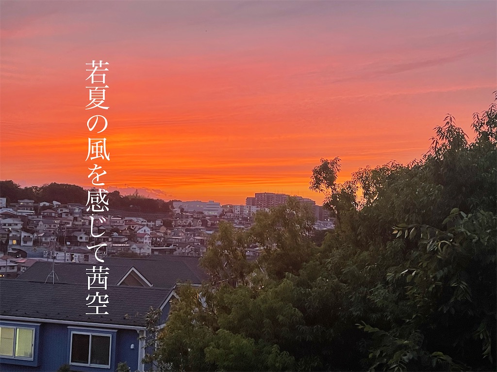 f:id:pcpisjp:20240523100736j:image