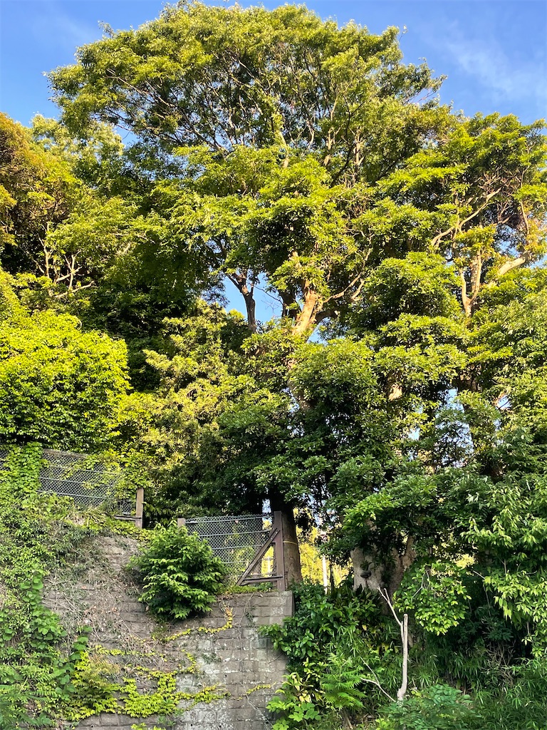 f:id:pcpisjp:20240604190652j:image