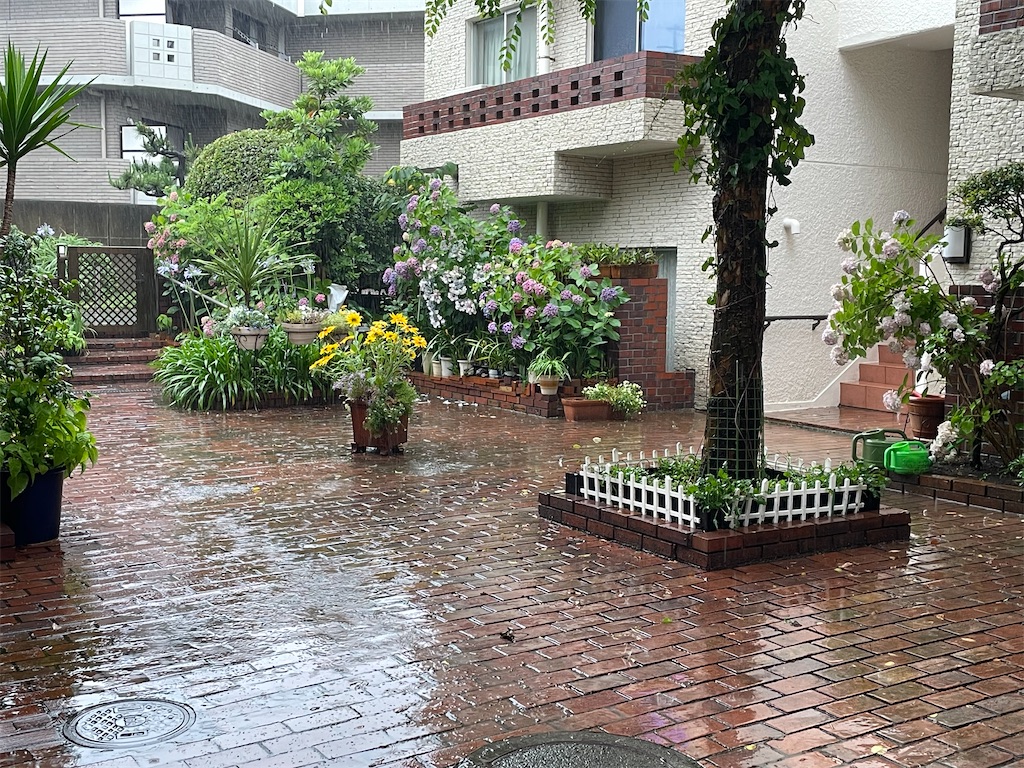 f:id:pcpisjp:20240620025826j:image