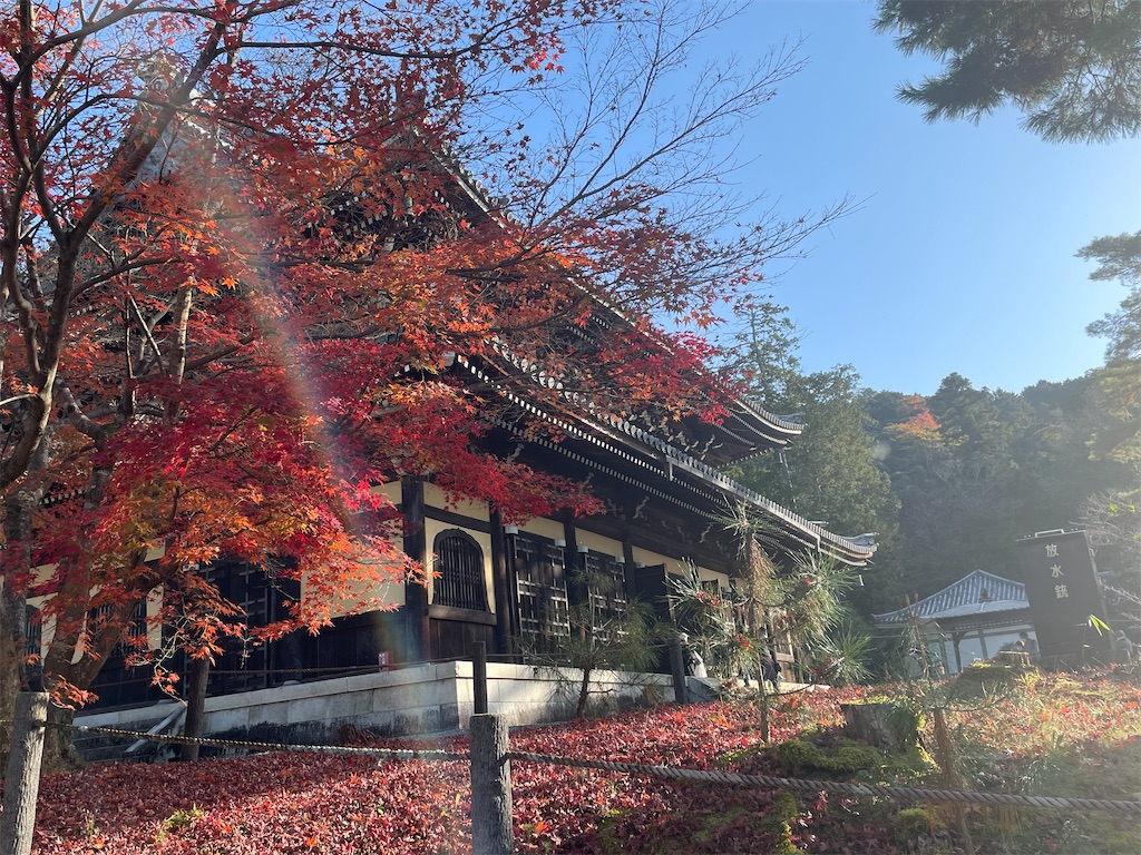 f:id:pcpisjp:20241129172712j:image