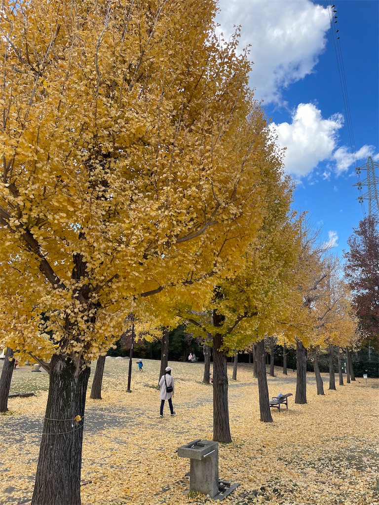 f:id:pcpisjp:20241208215127j:image