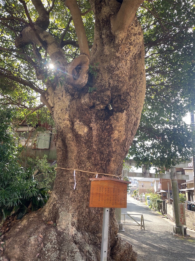 f:id:pcpisjp:20250105211215j:image