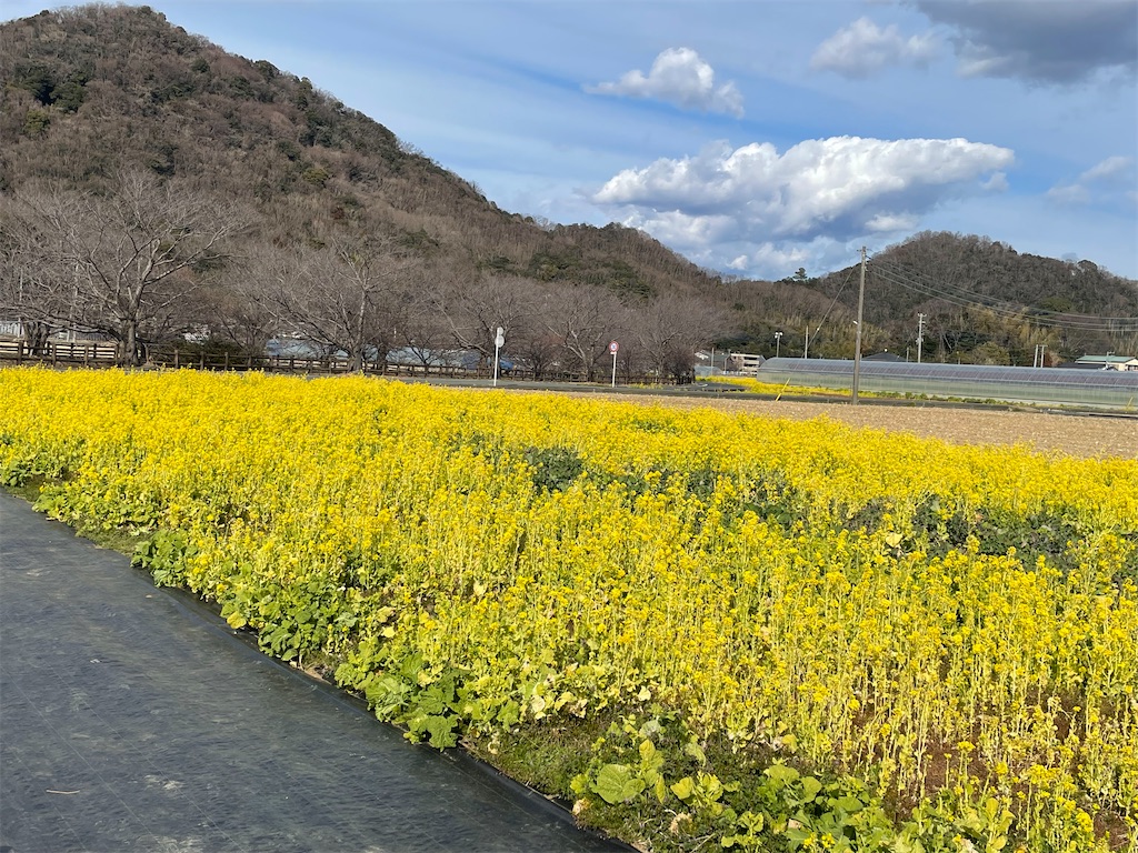 f:id:pcpisjp:20250222161414j:image