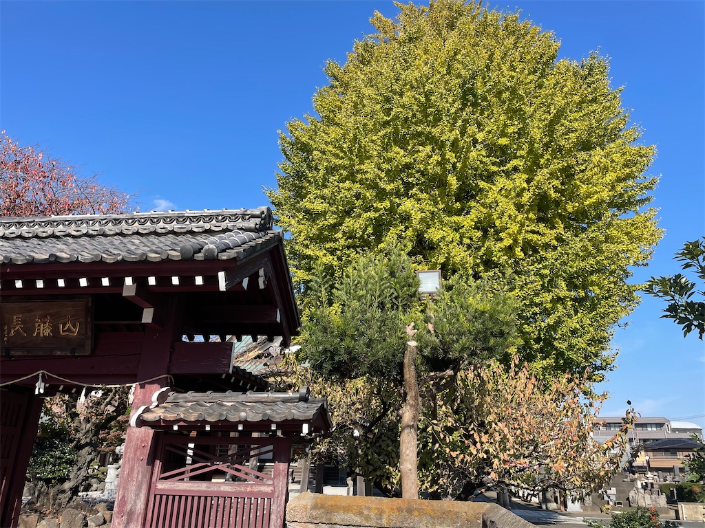 f:id:pcpisjp:20251116203932j:image f:id:pcpisjp:20251116203932j:image
