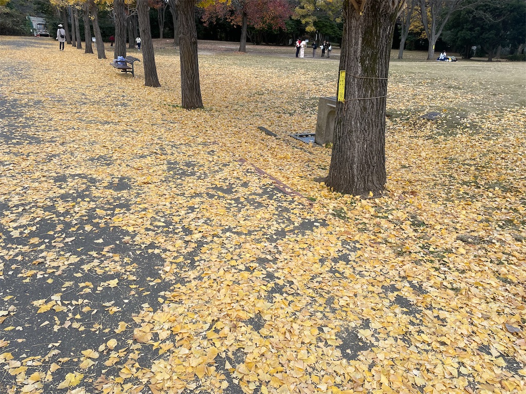 f:id:pcpisjp:20251219094816j:image f:id:pcpisjp:20251219094816j:image