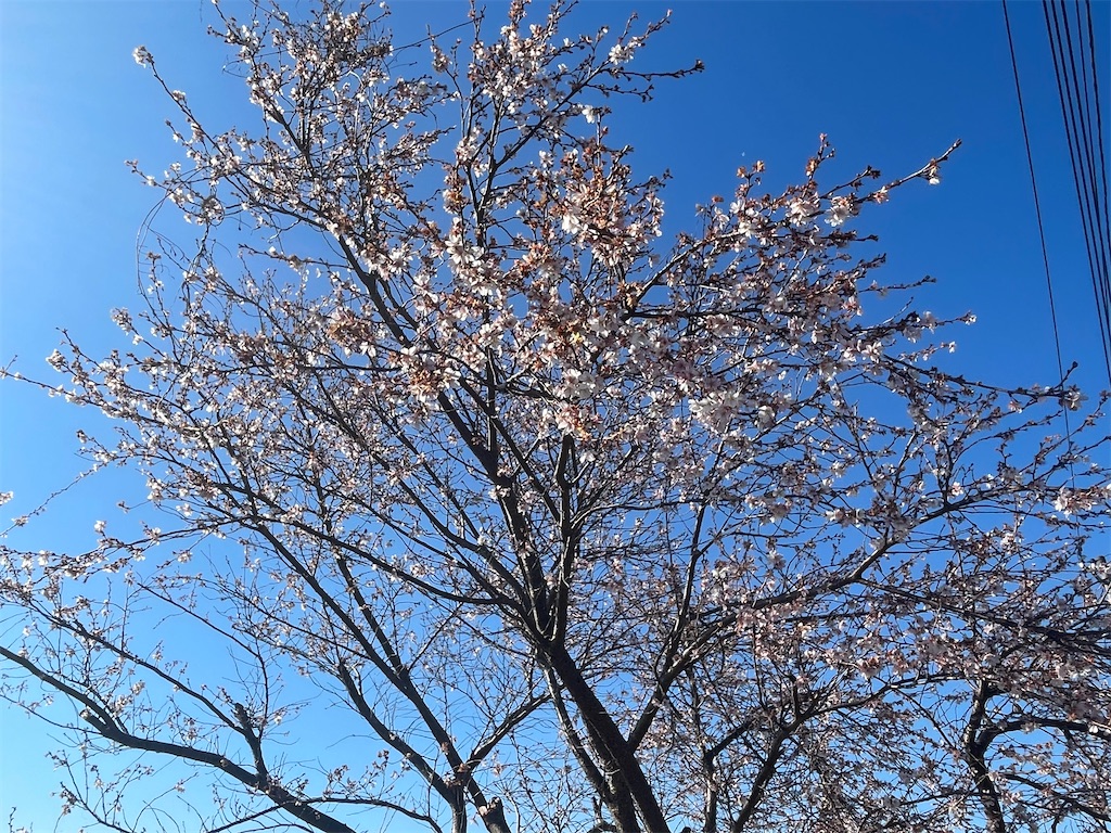 f:id:pcpisjp:20260111183802j:image f:id:pcpisjp:20260111183802j:image