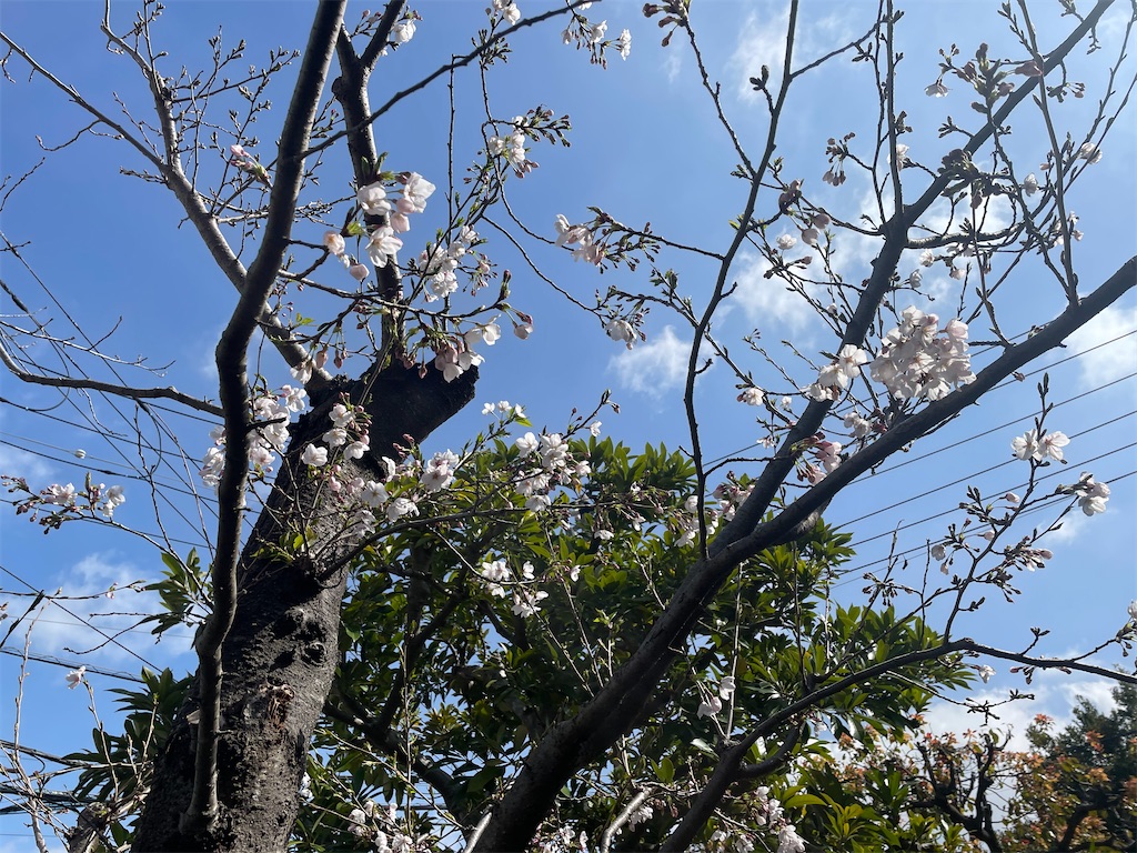 f:id:pcpisjp:20260330233008j:image
