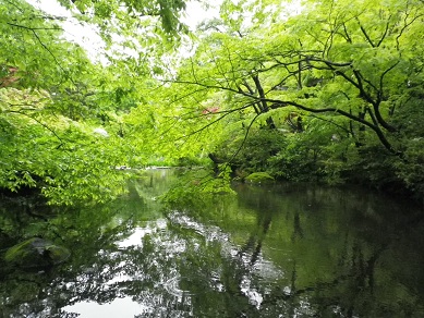 f:id:pct19gray:20120503214445j:image