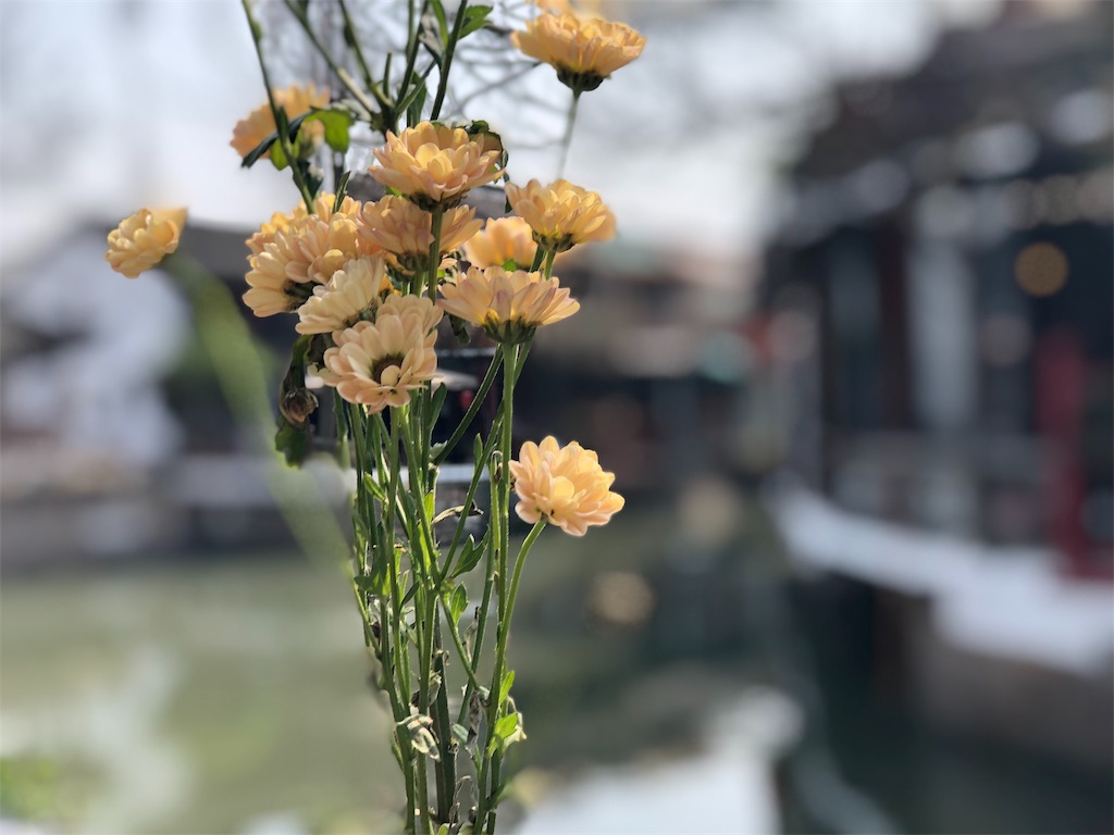 f:id:pcynth:20190326165243j:image