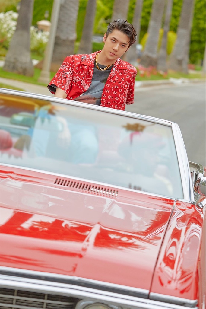 f:id:pcypcy:20190717211235j:image