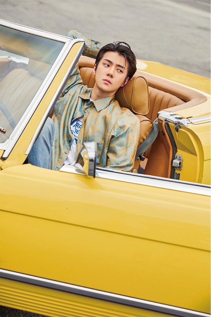 f:id:pcypcy:20190717211246j:image