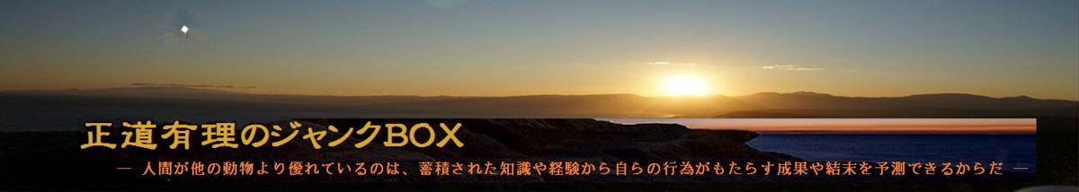 正道有理のジャンクBOX