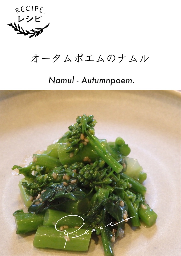 f:id:peace_blog:20190205114318j:image