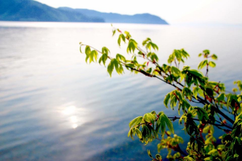 f:id:peacechyhi:20160614161555j:image f:id:peacechyhi:20160614161555j:image