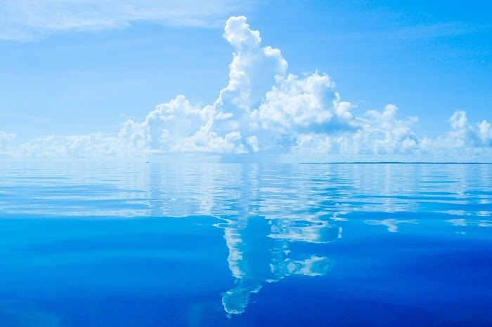 f:id:peacefulllife:20200510105157j:plain f:id:peacefulllife:20200510105157j:plain