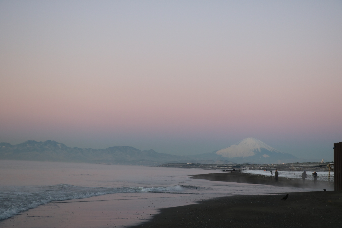 f:id:peacefulwind:20220129235906j:plain
