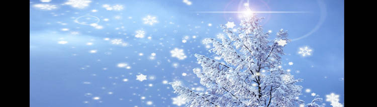 f:id:peaceheart:20200123012728j:plain