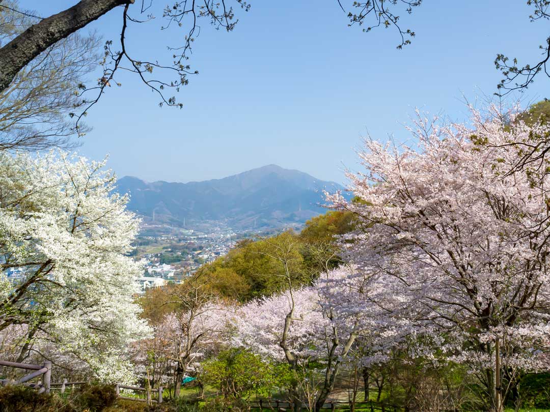 f:id:peach_mo:20180330180303j:plain