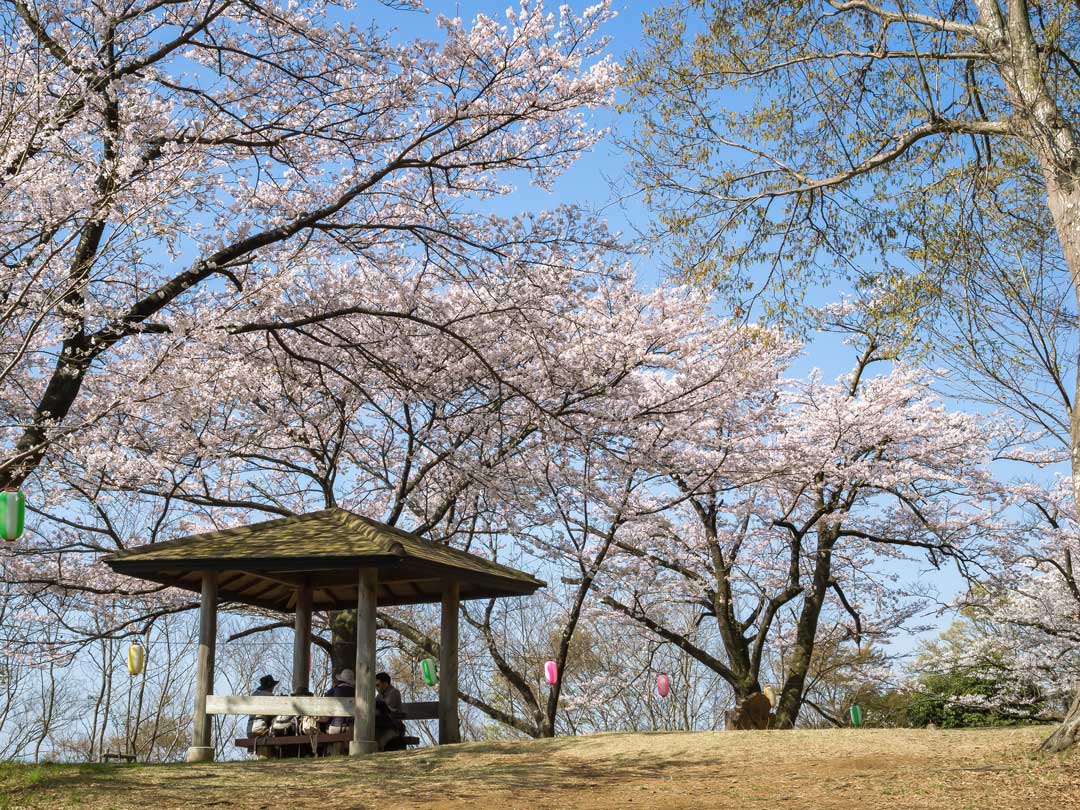 f:id:peach_mo:20180330180305j:plain