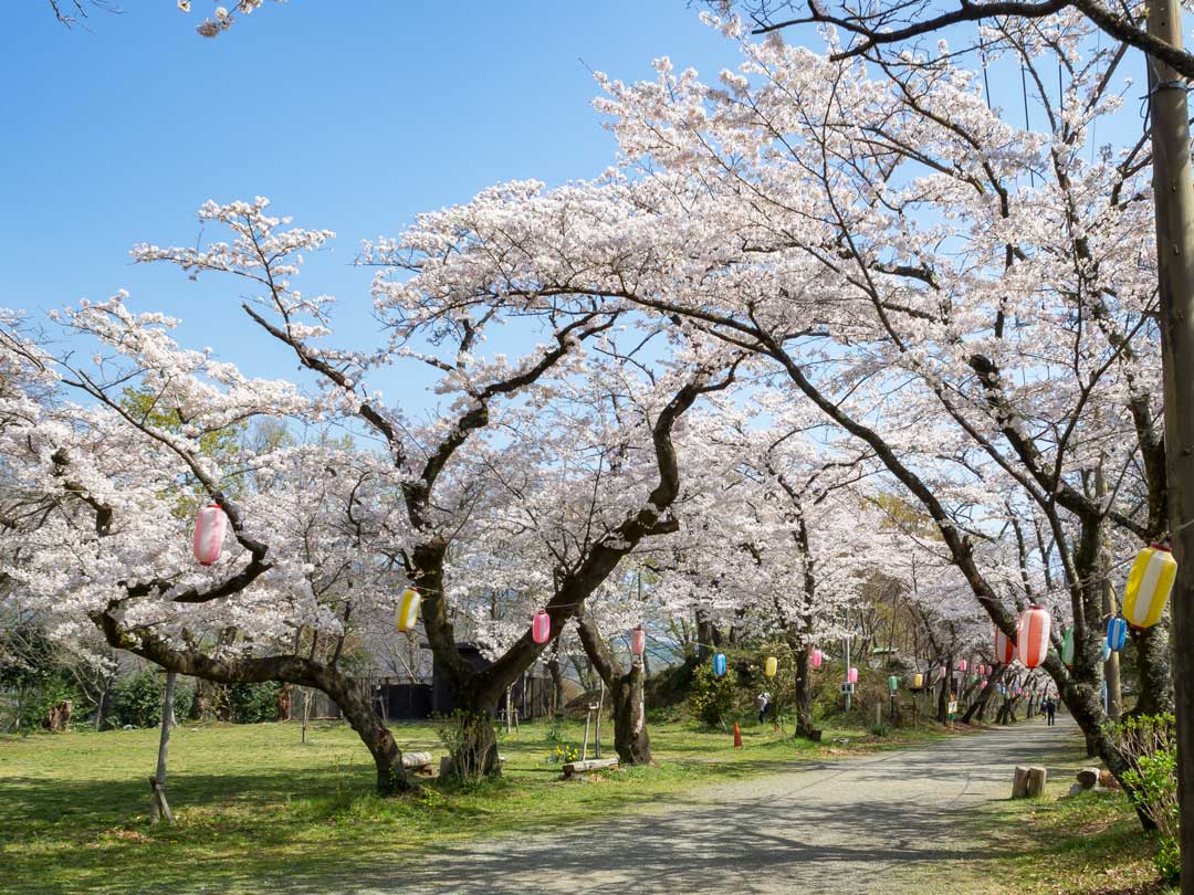f:id:peach_mo:20180330180312j:plain