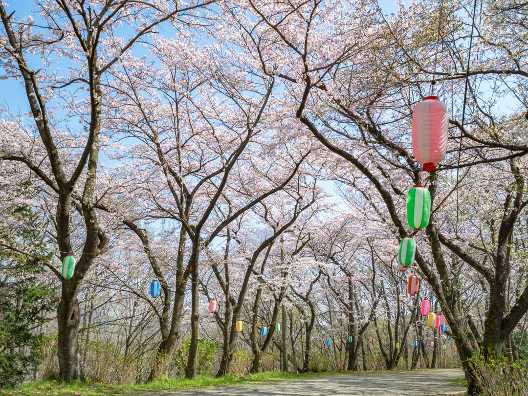 f:id:peach_mo:20180330180313j:plain