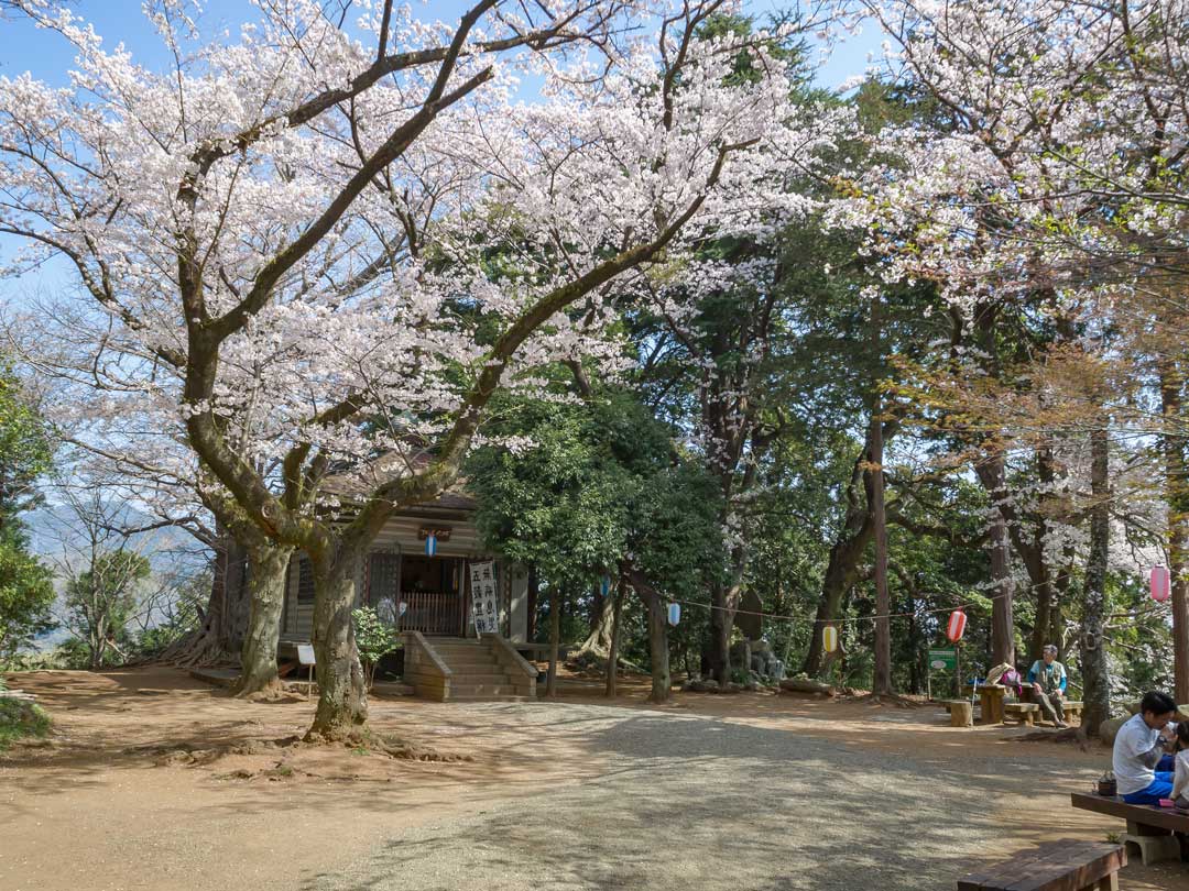 f:id:peach_mo:20180330180315j:plain