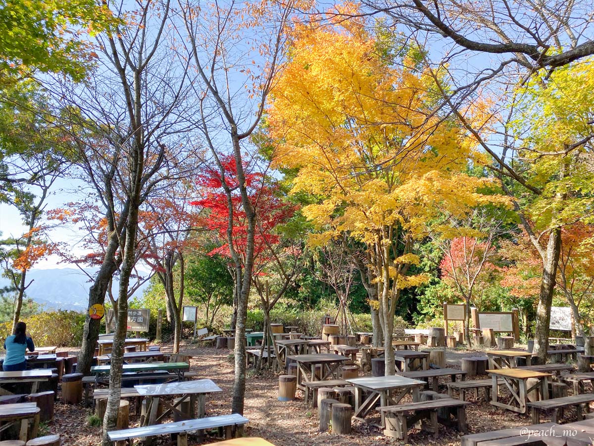 f:id:peach_mo:20191120155402j:plain