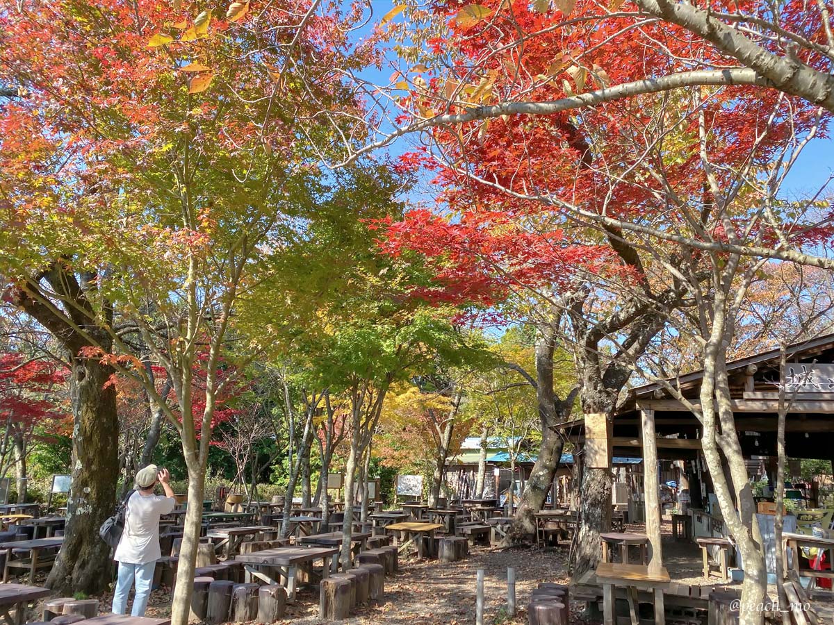 f:id:peach_mo:20191120155406j:plain