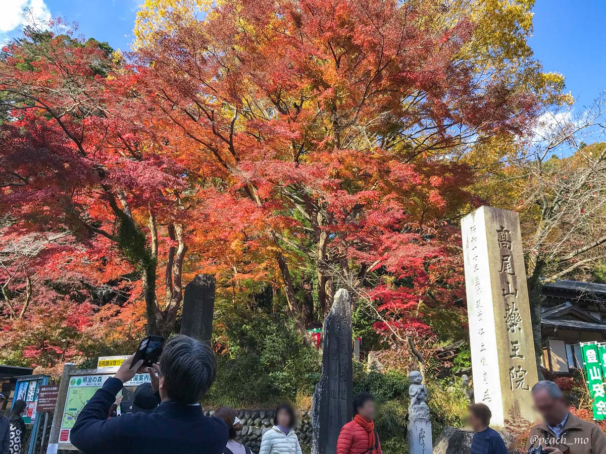 f:id:peach_mo:20191120160916j:plain