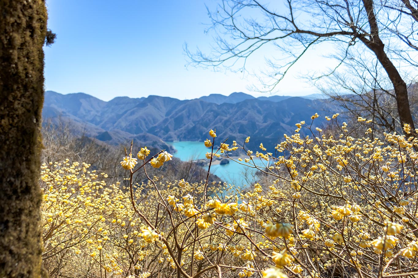 f:id:peach_mo:20191220193407j:plain