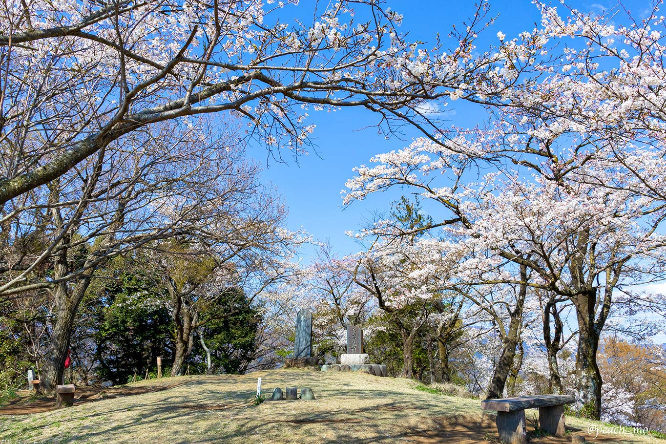 f:id:peach_mo:20191220193512j:plain